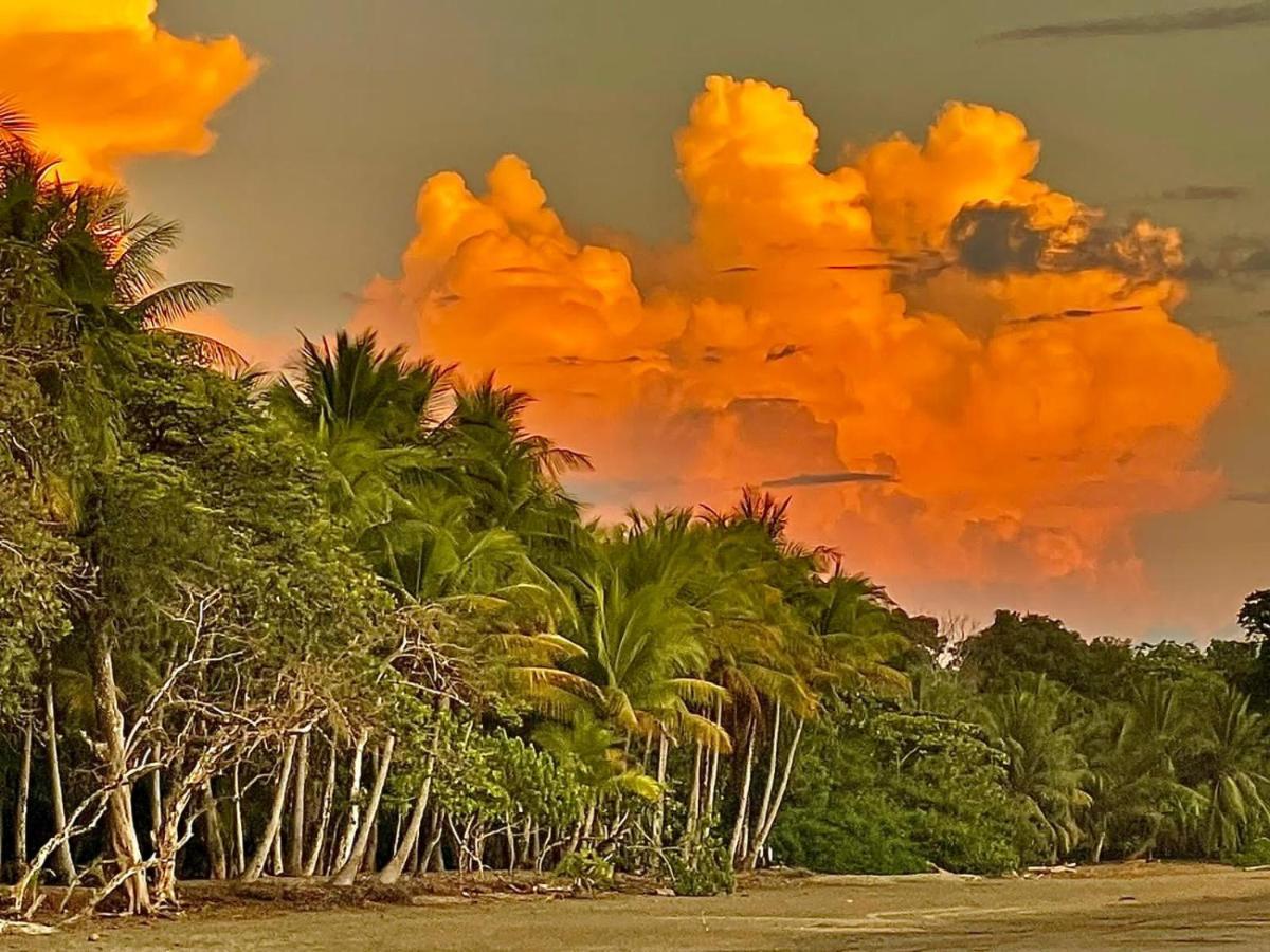 The Scarlet Villas Ojochal Buitenkant foto